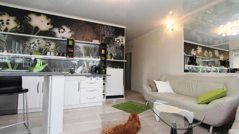Superior Apartment image 2