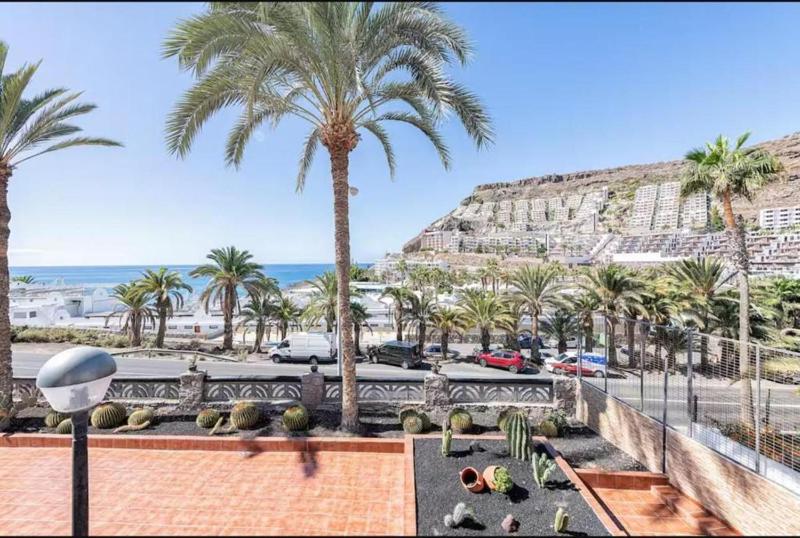 Palm Beach Suite - Playa del Cura - image 13