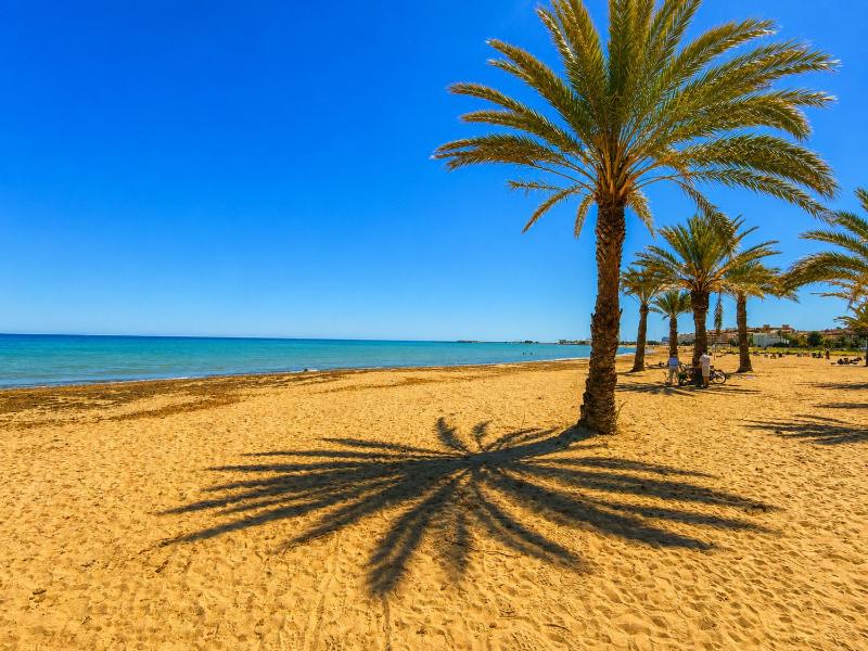 Anacasa Castell Denia Marines AP2214 - image 16