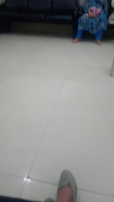 zax udaipur - image 6