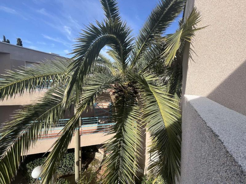 CA250-208 APPARTEMENT 2 PIÈCES 4 Personnes CAVALAIRE SUR MER - image 14