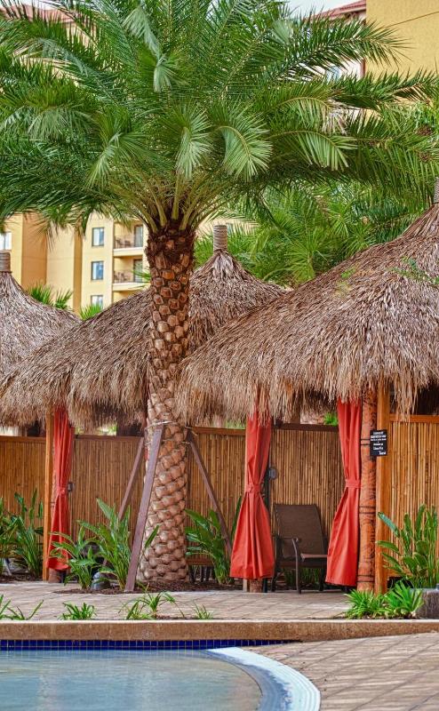 Bonnet Creek Resort 1BR Apartment - image 11