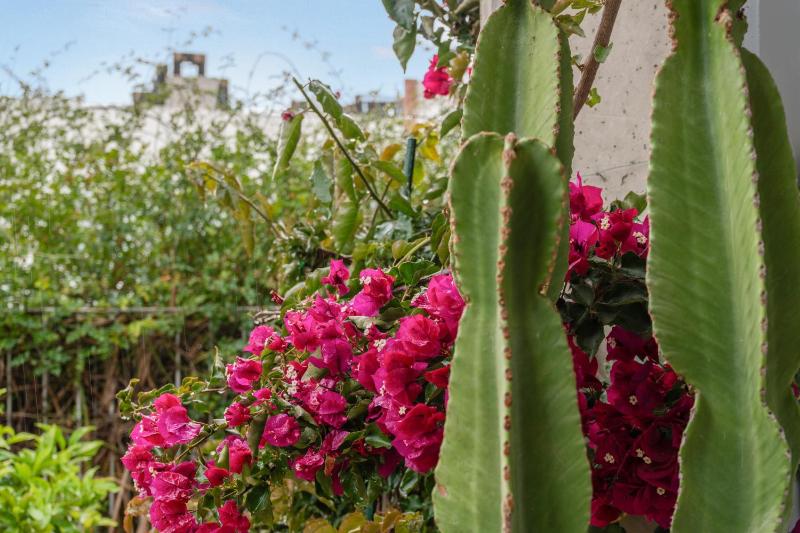 Bonita Planta Baja En Estepona - image 16
