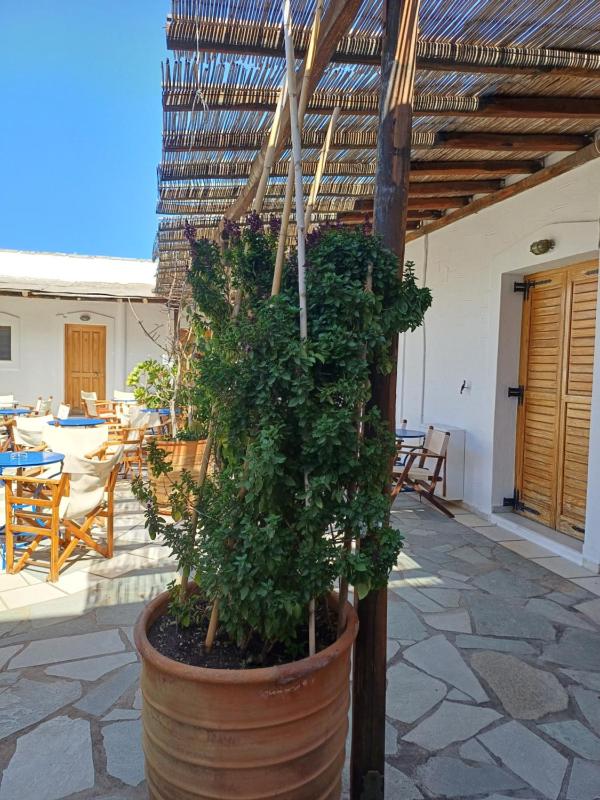 Siroco's Rooms And Studios - image 39