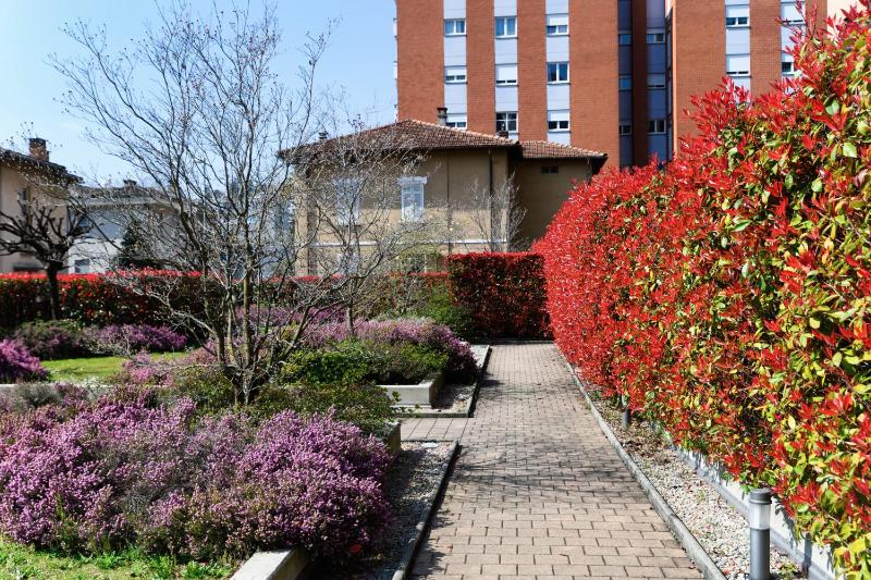 Mola Apartments Lugano by Quokka 360 - Terrace and Parking - image 34