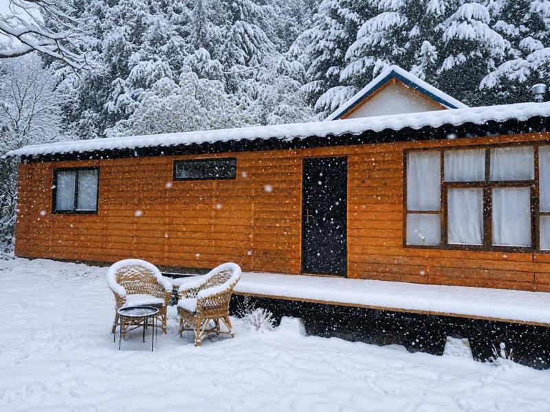 Cabaña Pudú - Refugio Romantico Bariloche - image 1