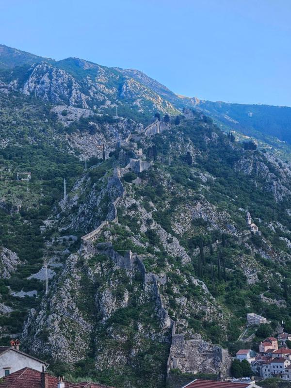 Žana - image 11