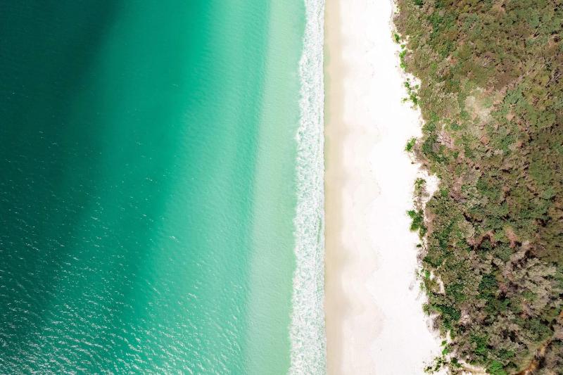 Indigo Views - renovated Vincentia beach house - image 8