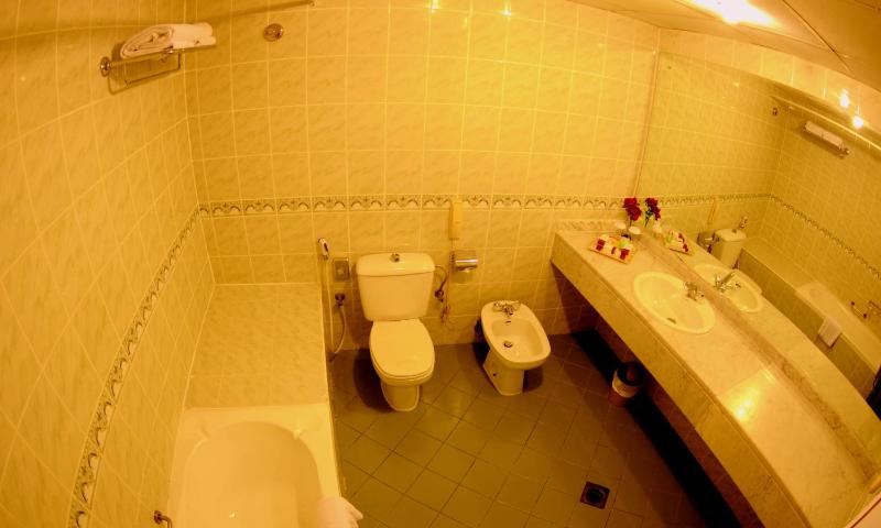 Standard Twin Room image 4