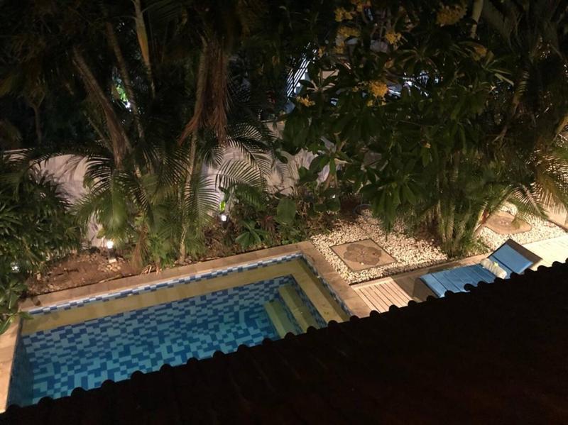 Tropical House - Garlic Lane - image 34