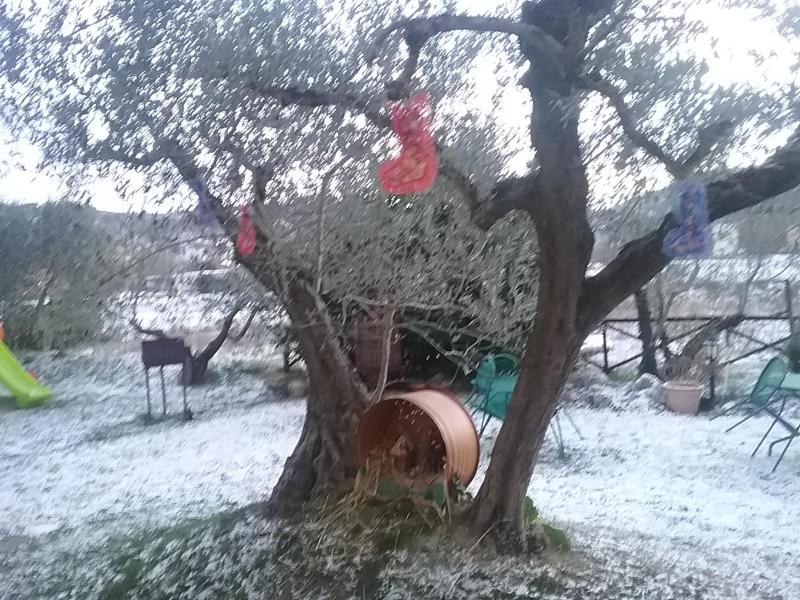 Il Casale della Quercia - image 2