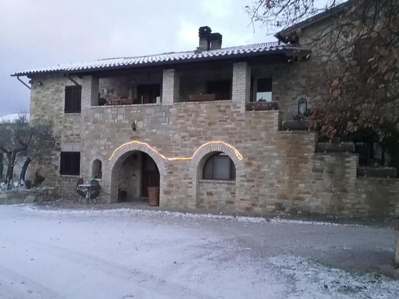 Il Casale della Quercia - image 47