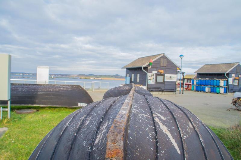 Ferienhaus Ilsebill mit Sauna Kamin & Hafenblick - image 9