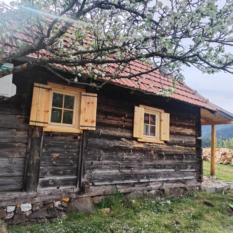 Zlatibor Koliba Laki - image 11