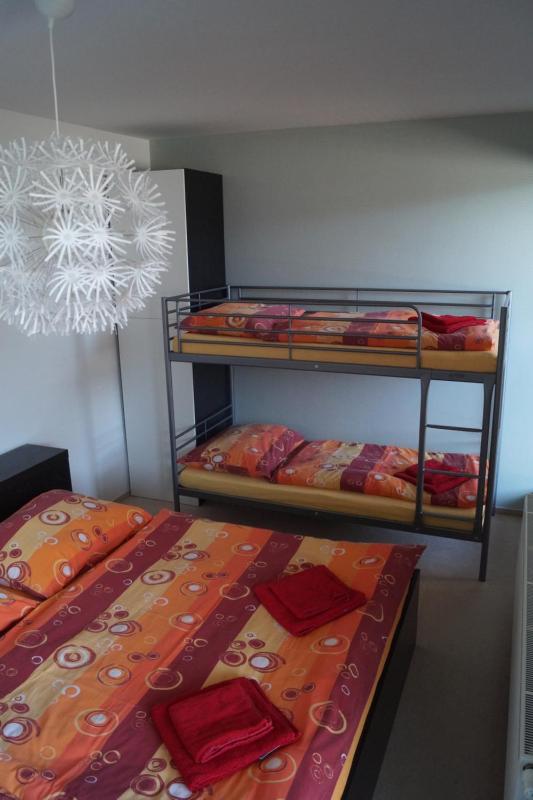 One-Bedroom Apartment with Terrace image 4