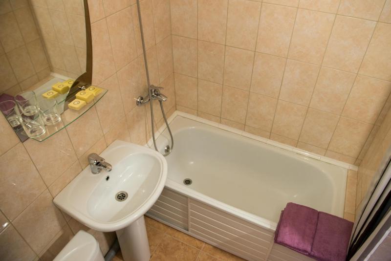 Double or Twin Room image 3
