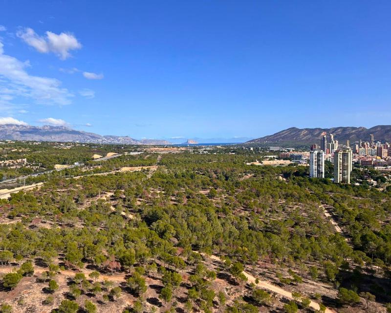 Eagle Tower Benidorm - EAGLE VIEW - 3 bedrooms - image 11