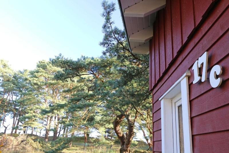 Strandhaus Dünenweg 17c mit Terrasse und Kamin - image 16