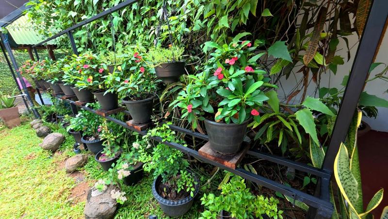 Ranmini Rest - image 13