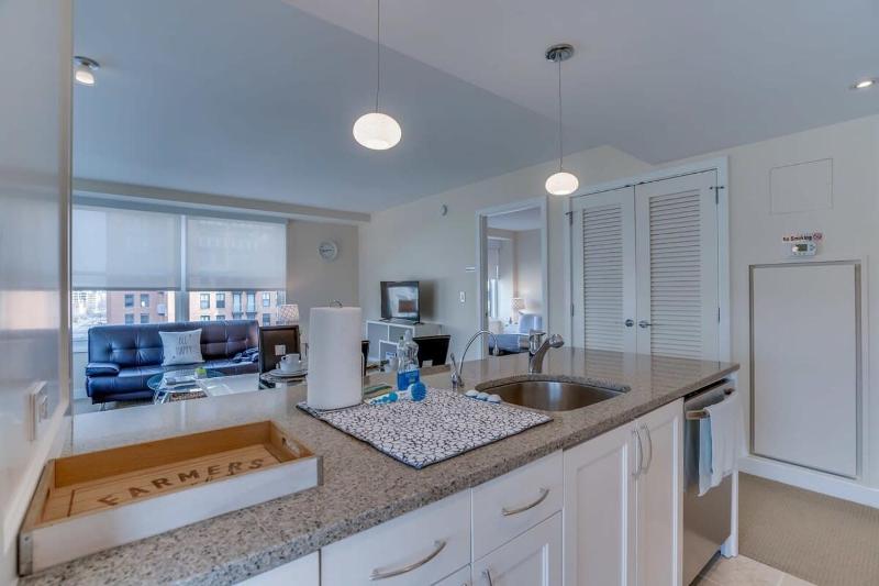 1BR Furnished Apartment at Penn Quarter apts - image 14