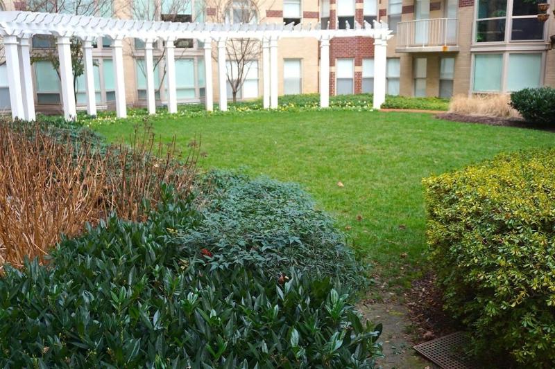 1BR Furnished Apartment at Penn Quarter apts - image 3