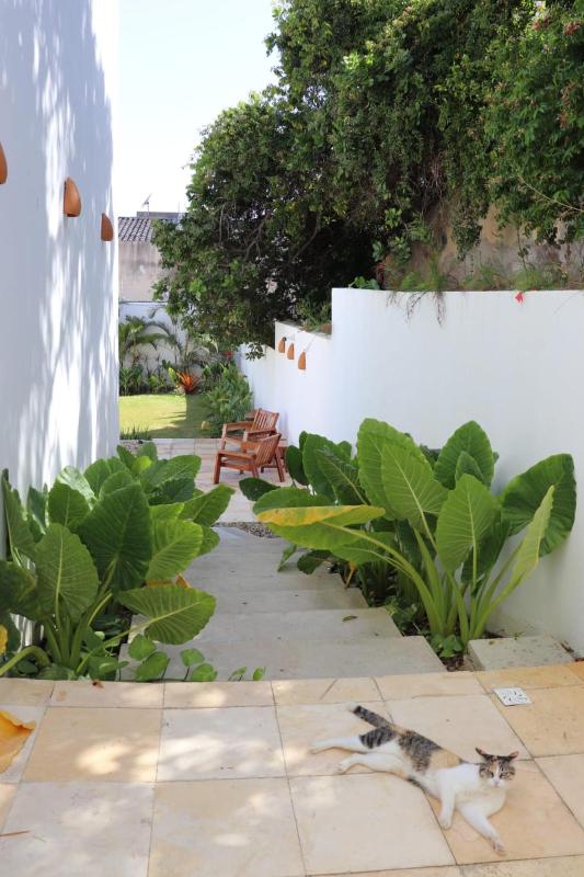 Casa Aia - Hospedagem de Charme na Atalaia - image 14