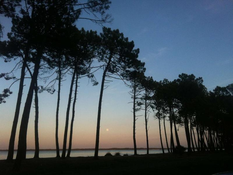 Biscarrosse Plage Apt Terrasse 4 pers avec Parking - FR-1-877-37 - image 15