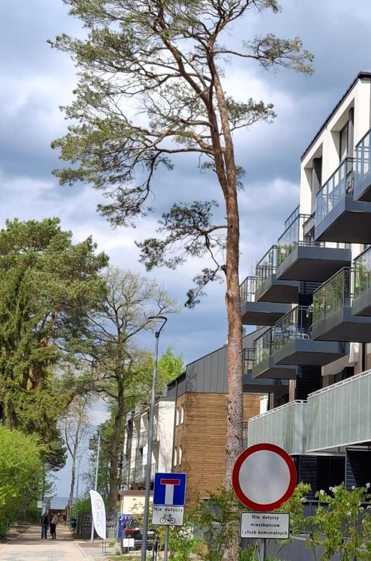 Baltic Pine Apartment - image 3