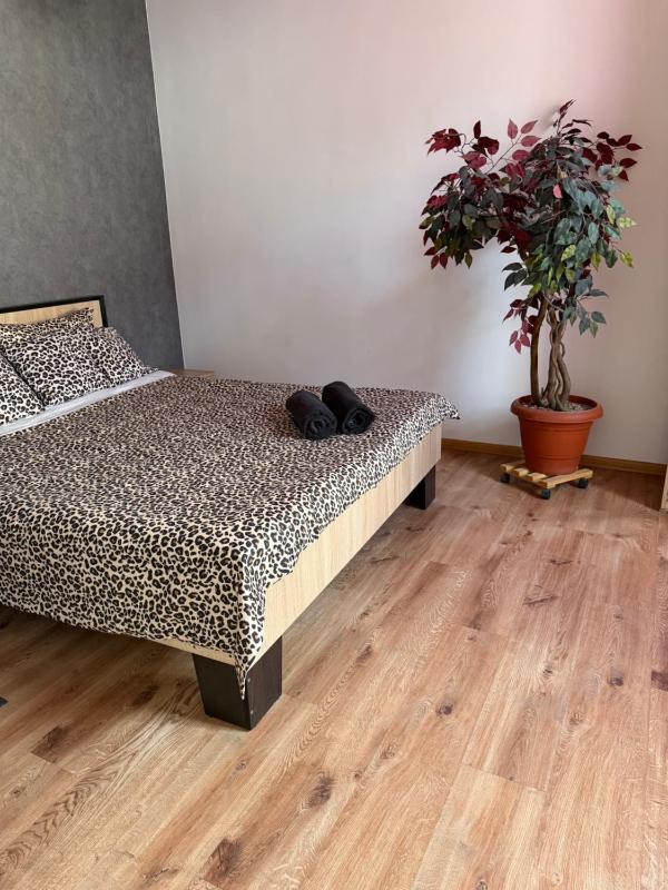 Nice budget apartments - image 1