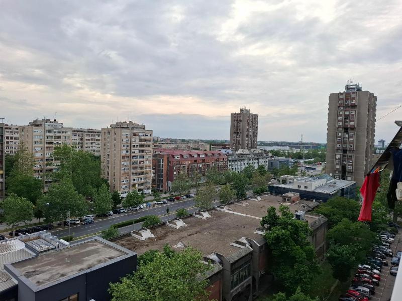 Mišel - image 4