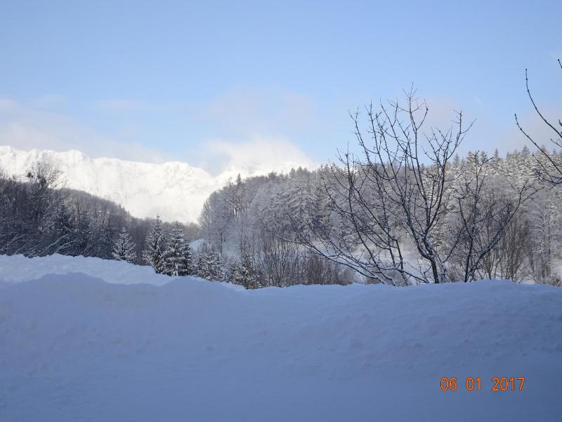 One-Bedroom Apartment with Balcony and Mountain View   image 4