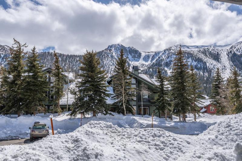 Snowcreek V 883 - image 15