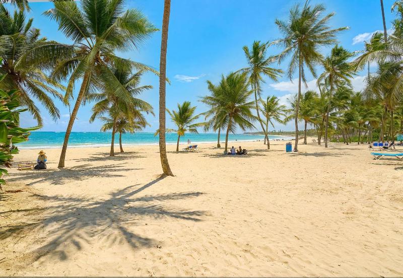 White Sands Villa With Private Pool Punta Cana - image 35