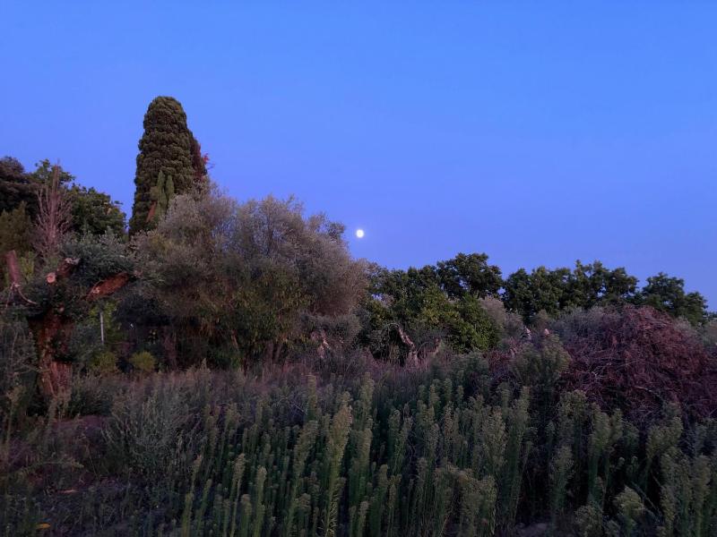 Casolare La Vigna - image 12