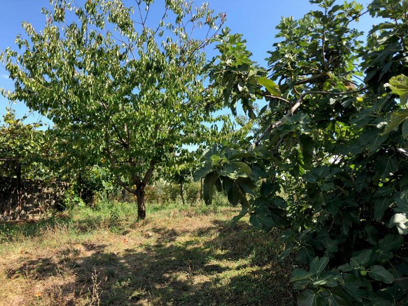 Casolare La Vigna - image 17
