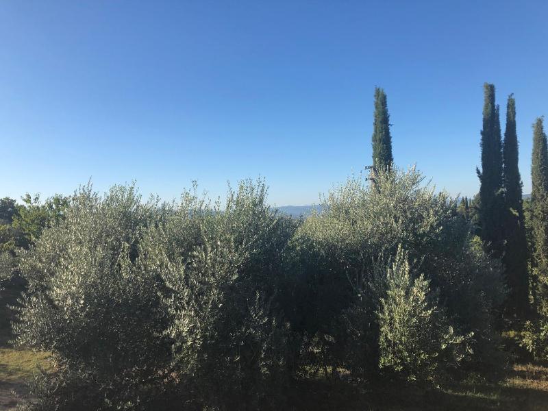 Casolare La Vigna - image 4