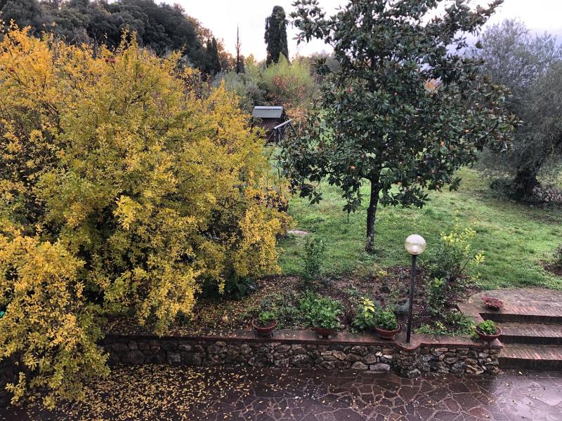 Casolare La Vigna - image 23