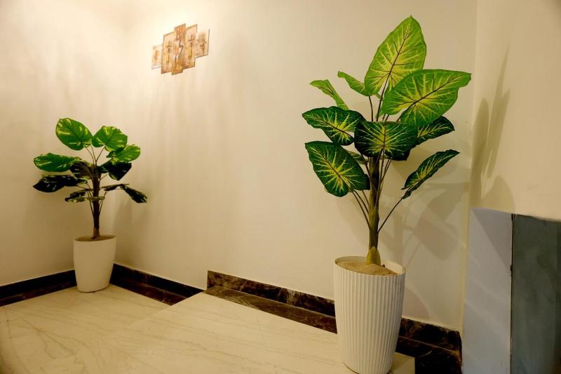 Meera Kunj 2 Luxury 3 BHK Retreat - image 48