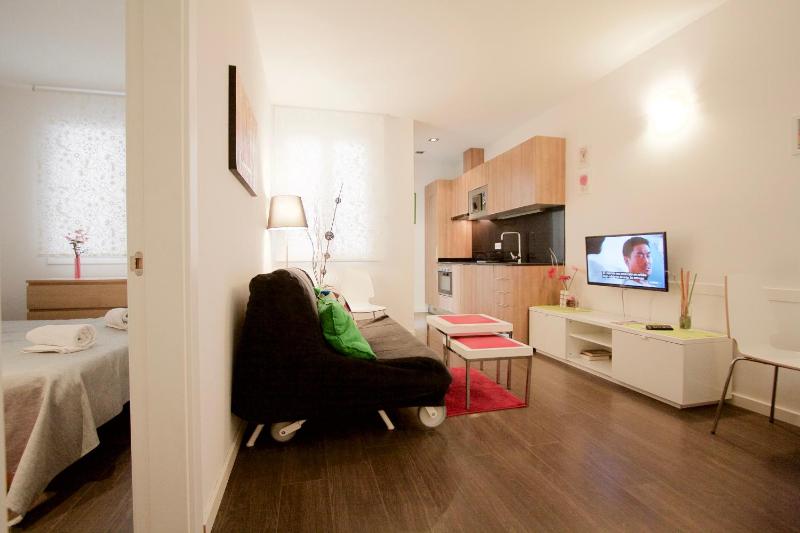 One-Bedroom Apartment image 4