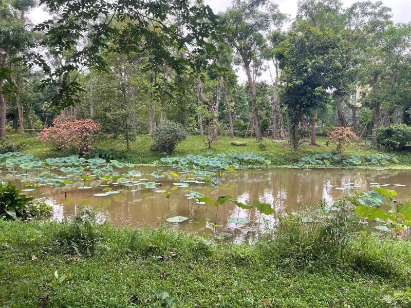 Canary Nest Solforest Ecopark Homestay - image 33