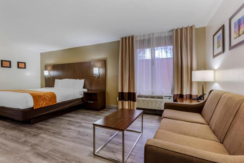 Comfort Suites Tucson near Sabino Canyon - image 9