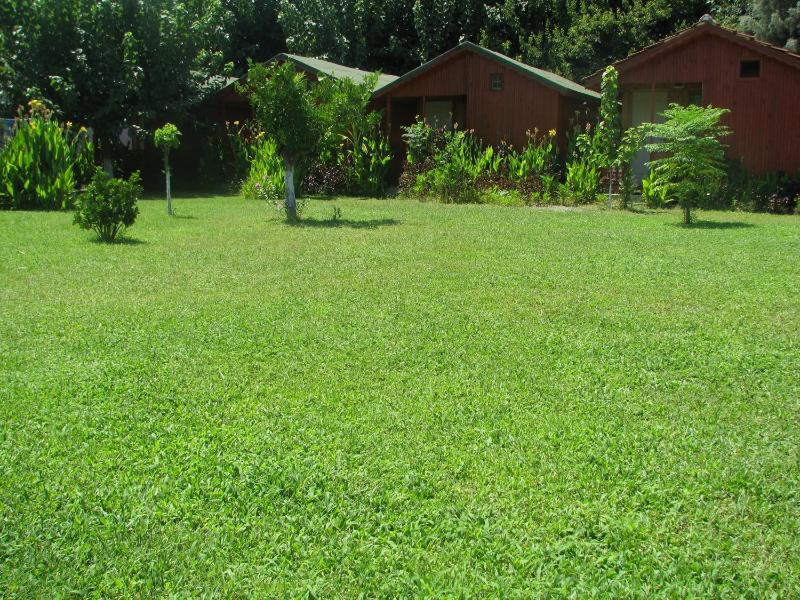 Bungalow (2 Adults) image 3