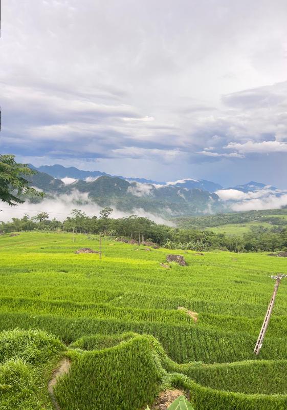 OH Pu Luong Homestay - image 5