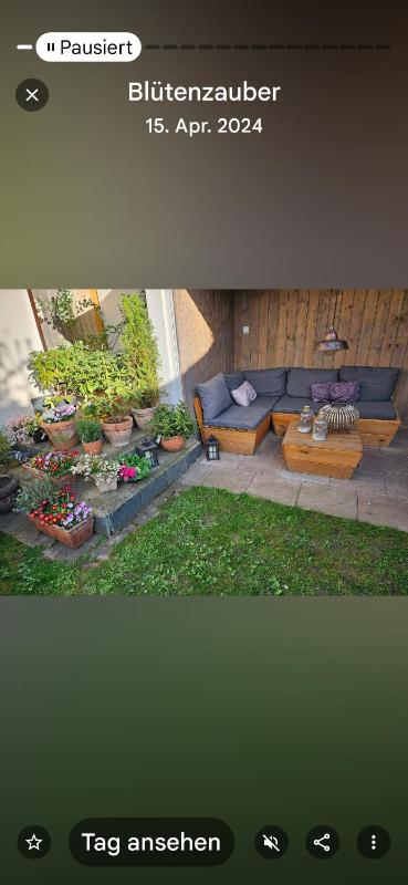 Harznester - Ferienhaus am Horstberg - image 34