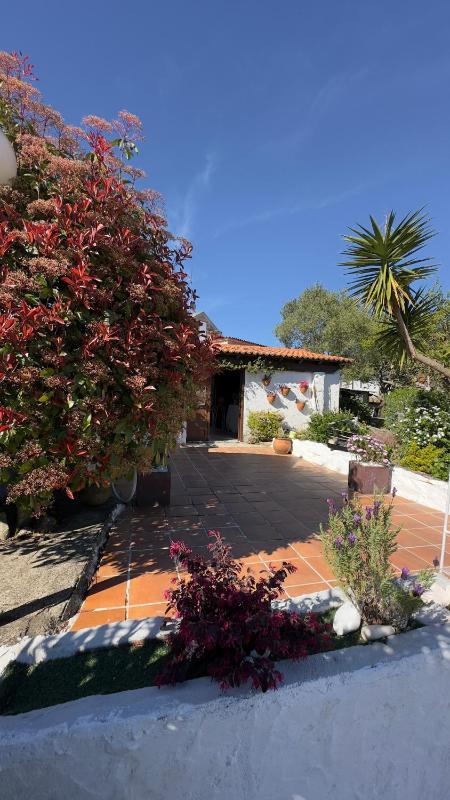 Casa Susa - image 47