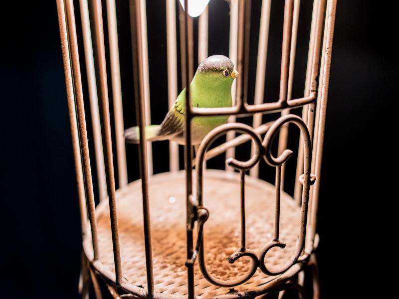 Deluxe Double or Twin Room image 2