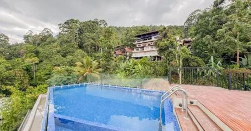 Crystal Springs Homestay - image 14
