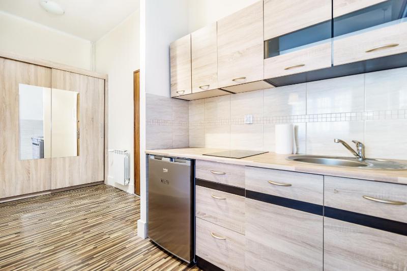 Studio Apartment image 3