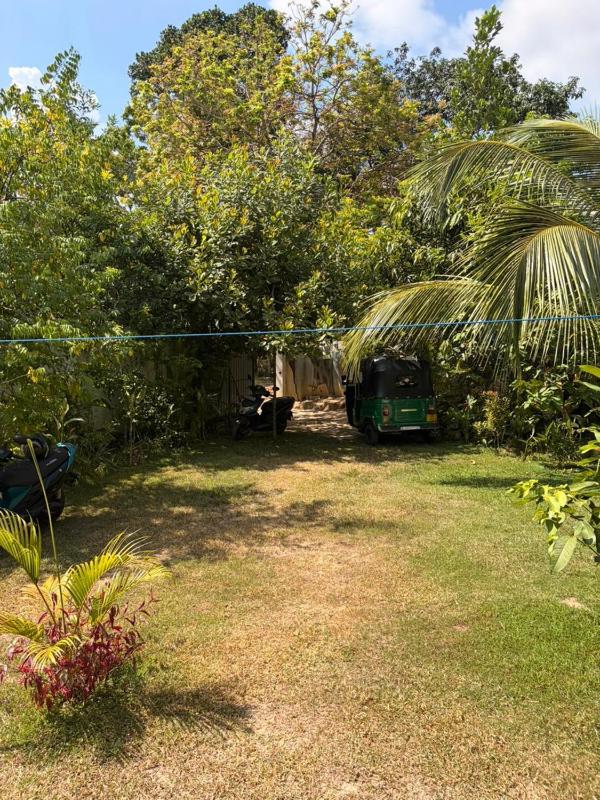 Dream Nest Ahangama - image 12