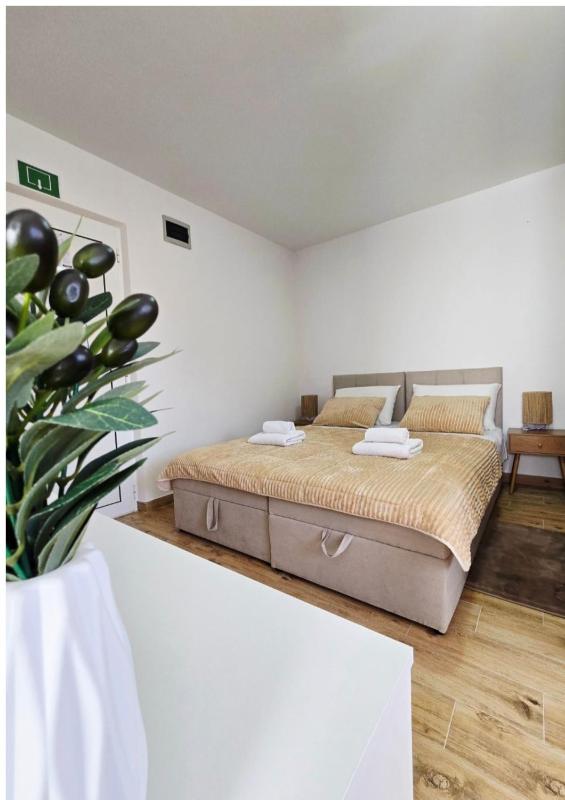 Apartmani Marija - Vila Marija - image 37